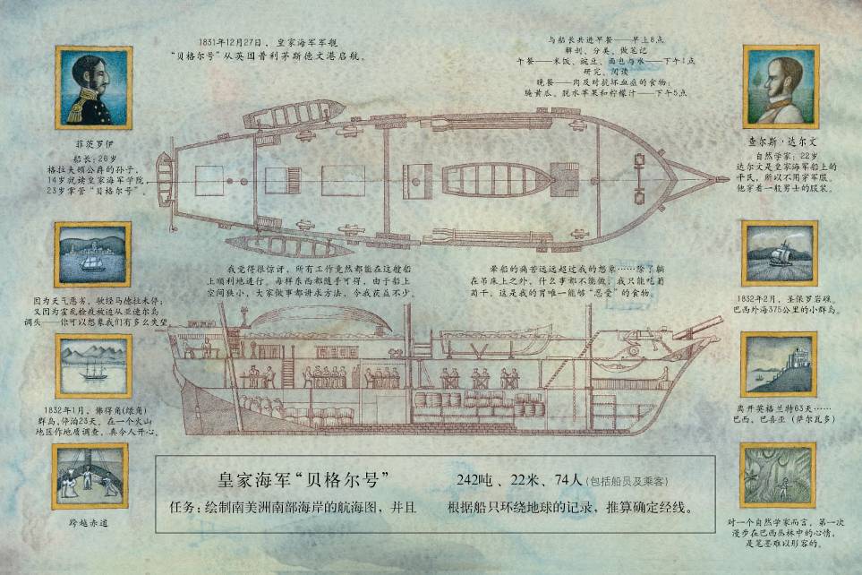 生命之树 (08),绘本,绘本故事,绘本阅读,故事书,童书,图画书,课外阅读